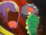 Chenipan ne semble pas faire le poids face  Abo et Smogo ... et pourtant ...
